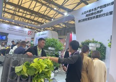 Hydroponic growing systems.